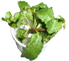 Peppermint