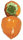 persimmon