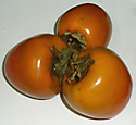 persimmon-fruits