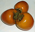 perimmons fruits
