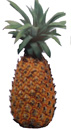 pineapple fruit