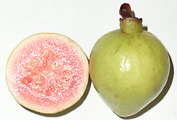 fresh-guava