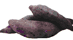 sweet-potato
