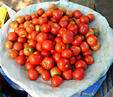fresh red tomatoes