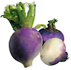 turnips