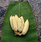 banana fruits