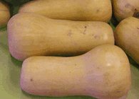 What is the nutritional value of butternut squash?