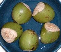 tender coconuts ready for drink