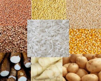 Granos y tubérculos sin gluten