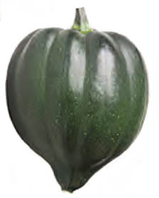 acorn squash nutrition acorn squash nutrition