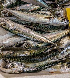 Prime 9 Anchovies Vitamin information and Well being advantages