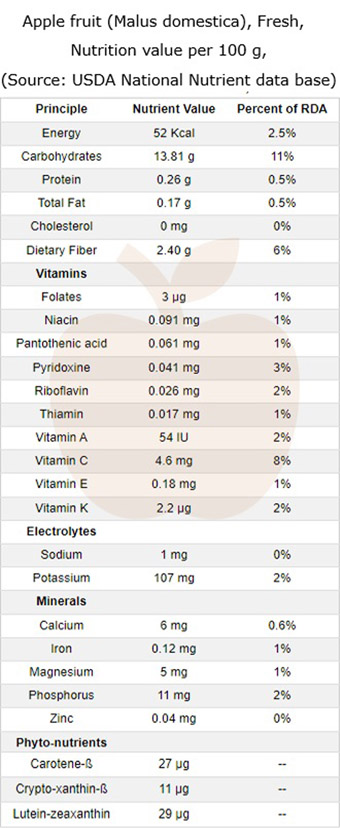 apple nutrition facts per 100 grams