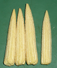 Candy Corn Vitamin Details and Well being Advantages