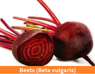 beets