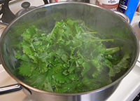 blanching rapini