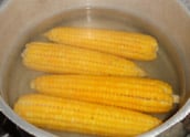 boiled corn on cobs