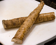 burdock root1