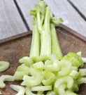 celery stalks