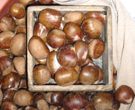 chestnuts in South Korean market