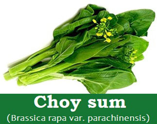 Choy sum