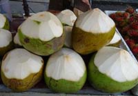 Tender Coconuts ready for drink