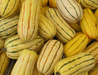 Delicata squash