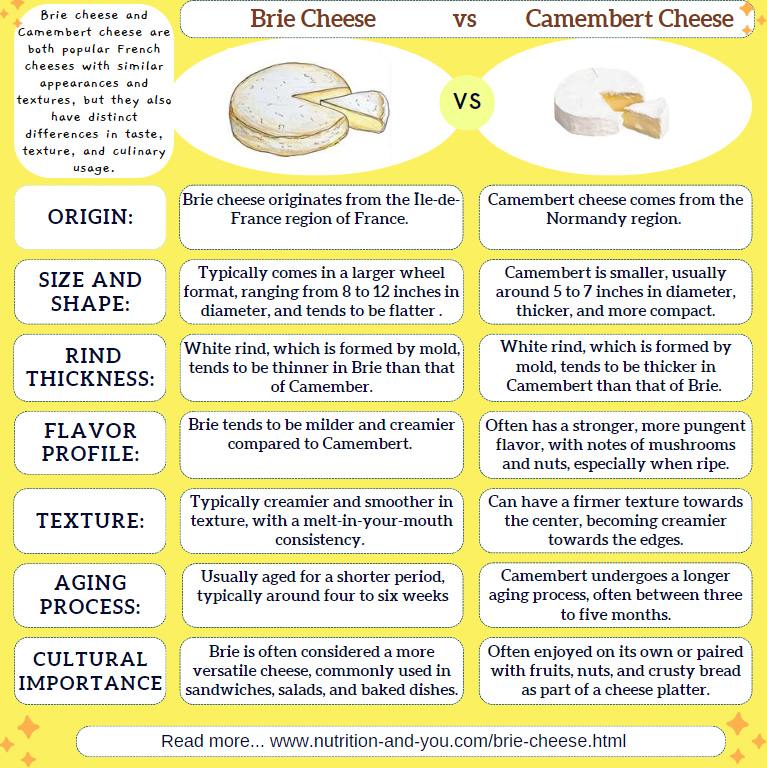 difference-between-brie-cheese-and-camambert-infographic