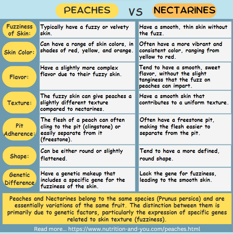 difference-between-peaches-and-nectarines-infographic