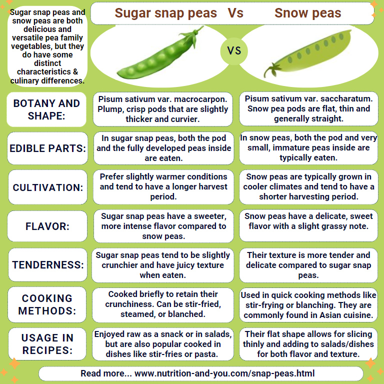 difference-between-snap-peas-and-snow-peas-infographic
