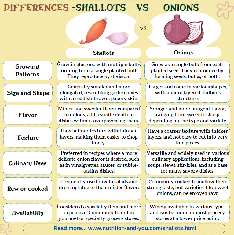 differences-shallots-vs-onions-infographic