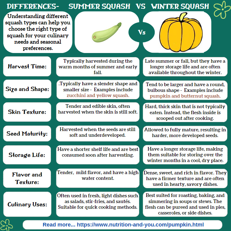 differences-summer-squash-vs-winter-squash-infographic