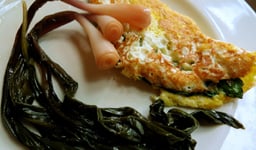 epazote omelette with pickled ramp