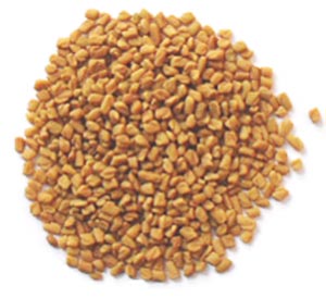 fenugreek seeds - Trigonella-foenum-graecum