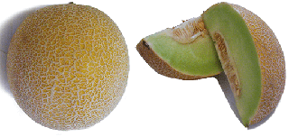 Galia melon with sections