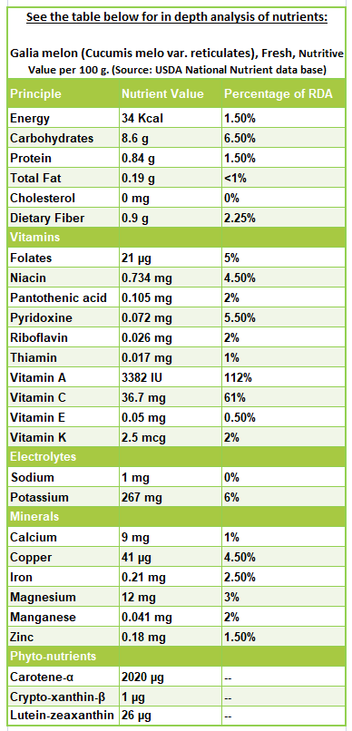 Galia melon nutrition facts