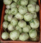 german turnips in a market