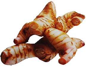 Top 6 Galangal Nutrition facts and Health benefits