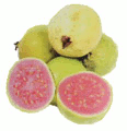 Guava fruits
