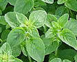Herbs nutrition facts