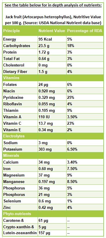 Green Jackfruit Nutritional Value Besto Blog green-jackfruit-nutritional-value-besto-blog