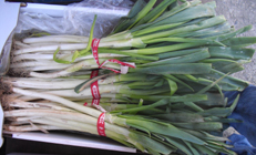 fresh leeks in a market