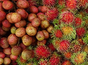 Rambutan and lychee fruits