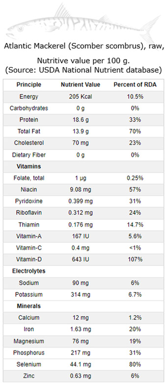 The Power of Atlantic Mackerel: Nutrition Facts and Health Benefits
