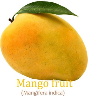9 superb Mango fruit Diet details and Well being advantages