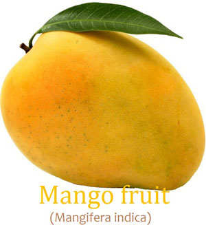 9 amazing Mango fruit Nutrition facts and Health benefits