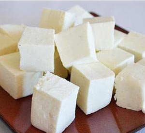 fresh paneer
