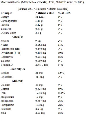 morel mushroom nutrition facts