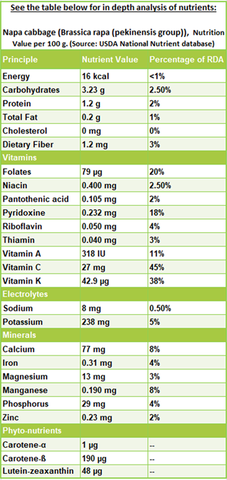 Napa Cabbage Chinese Cabbage Nutrition Facts And Health Benefits,Pork Chop Grill Time Chart 12 Inch