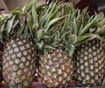 Pineapples in a market