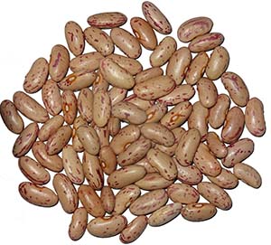 10 unimaginable Pinto beans Diet info and Well being advantages